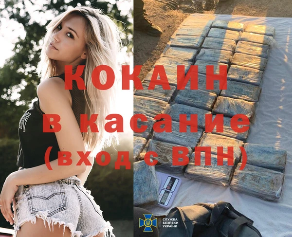 твердый Богородицк