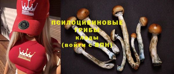 твердый Богородицк